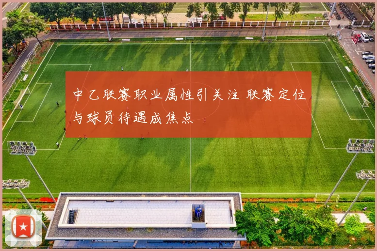 中乙联赛职业属性引关注 联赛定位与球员待遇成焦点